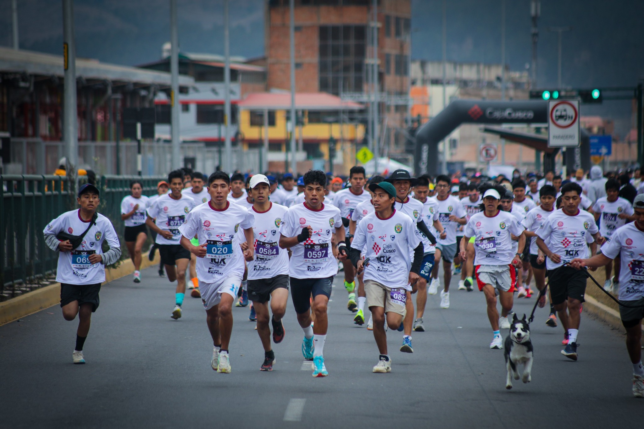 MÁS DE 10 MIL CUSQUEÑOS PARTICIPARON EN EL “QOSQO 10K HATUN PHAWAY 2025” ORGANIZADO POR LA MUNICIPALIDAD DEL CUSCO
