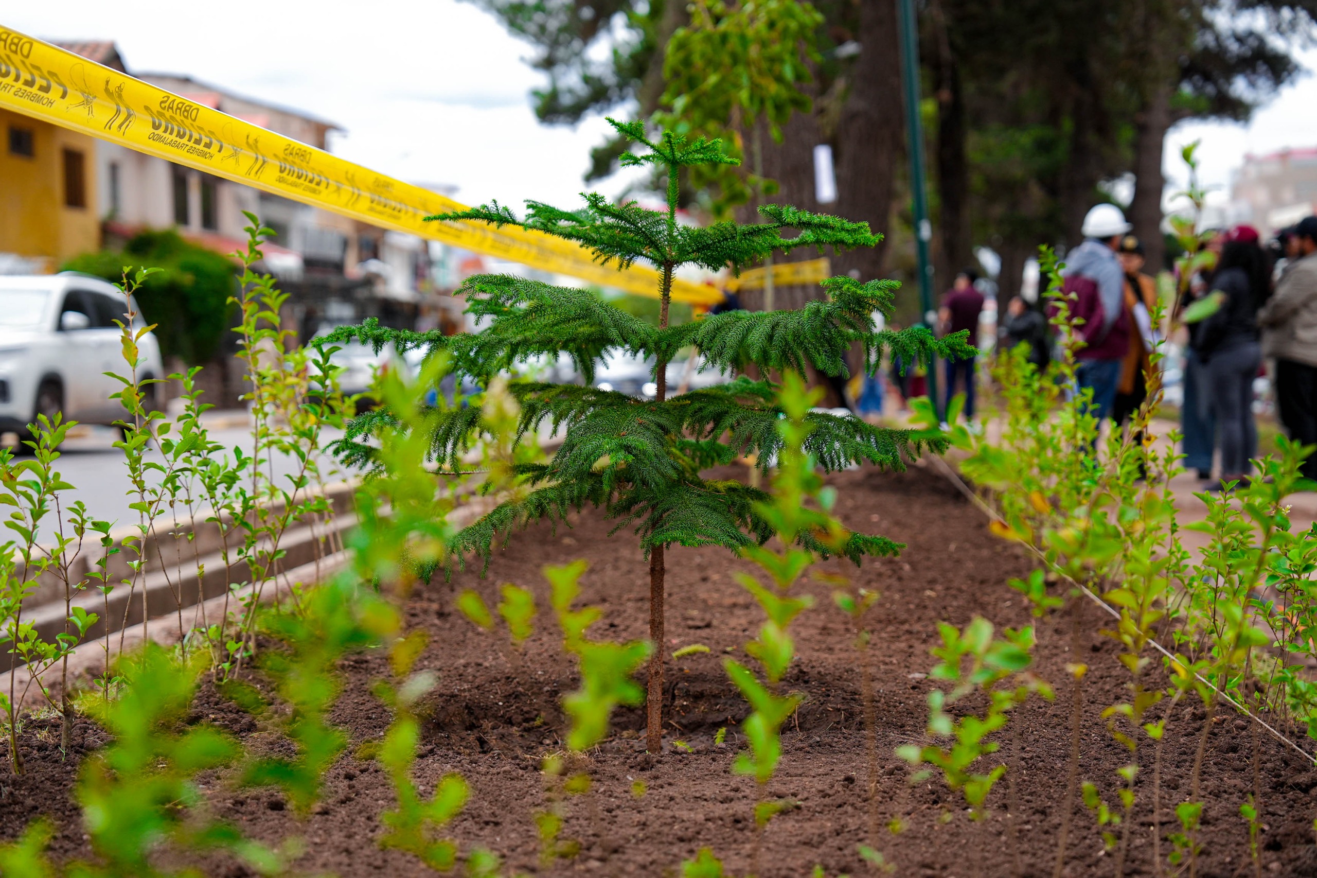 MUNICIPALIDAD DEL CUSCO, VECINOS, ESCOLARES Y LA PNP UNIDOS PARA PRESERVAR EL PULMÓN VERDE DE MARISCAL GAMARRA